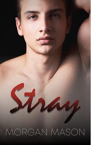 Stray by Morgan Mason