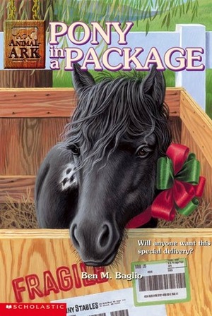Pony in a Package by Ann Baum, Ben M. Baglio