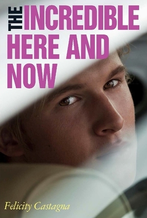 The Incredible Here and Now by Felicity Castagna