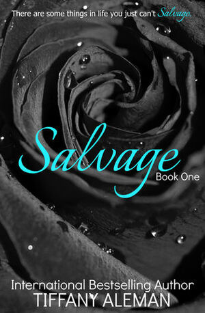 Salvage by Tiffany Aleman