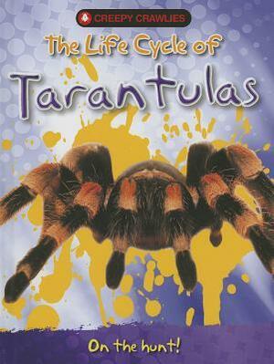 The Life Cycle of Tarantulas by Clint Twist