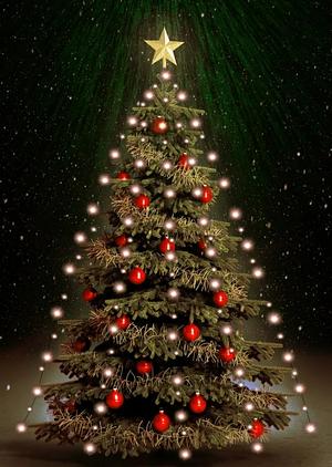Oh Christmas Tree by Brian Herald, Brandon Gray, Daniel Thompson
