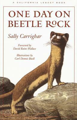 One Day on Beetle Rock by David Rains Wallace, Carl Dennis Buell, Sally Carrighar, Henry B. Kane