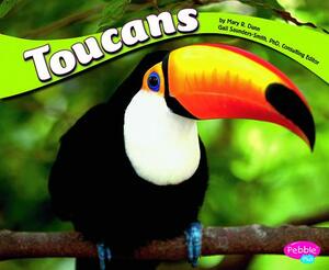 Toucans by Mary R. Dunn