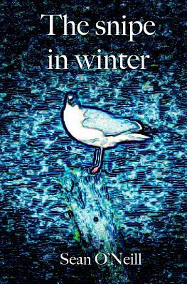 The snipe in winter by Sean O'Neill