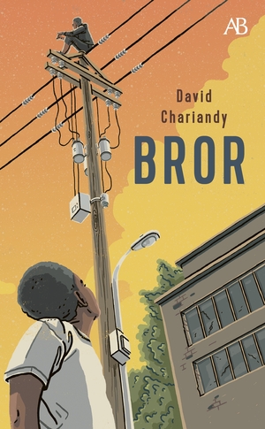 Bror by David Chariandy