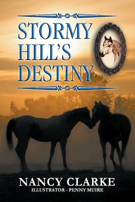 Stormy Hill's Destiny: Book 7 by Nancy Clarke