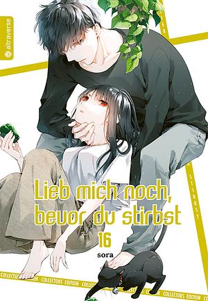 Lieb mich noch bevor du stirbst Collectors Edition, Band 16 by Sora Mizuki