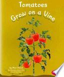 Tomatoes Grow on a Vine by Mari Schuh