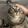 kenmasface's profile picture