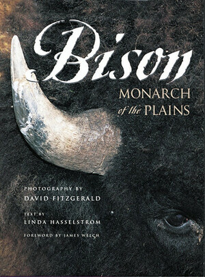 Bison: Monarch of the Plains by David Fitzgerald