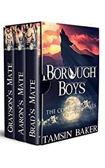 The Borough Boys: The Complete Collection by Tamsin Baker