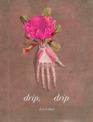 drip, drip by Lizi Gilad