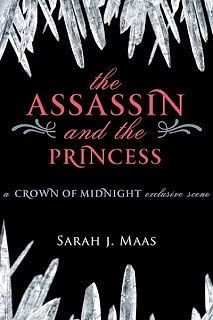 The Assassin and the Princess by Sarah J. Maas