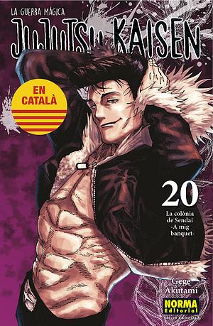 JUJUTSU KAISEN 20 by Gege Akutami