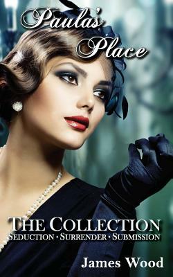 Paula's Place: Seduction, Surrender, Submission by James Wood