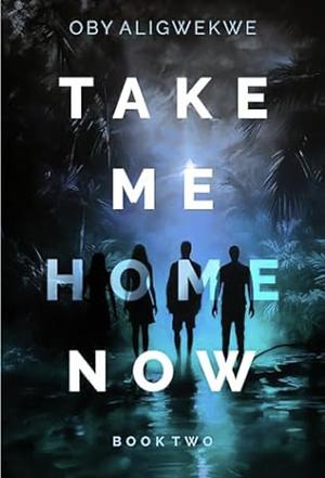 Take Me Home Now 2 by Oby Aligwekwe