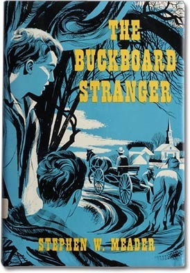 Buckboard Stranger by Stephen W. Meader