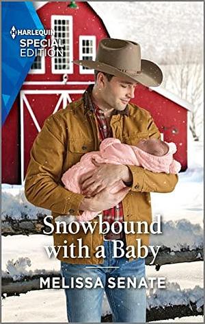 Snowbound with a Baby by Melissa Senate