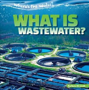 What Is Wastewater? by Barbara M. Linde