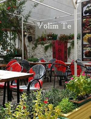 Volim Te by C. L. Winter