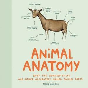 Animal Anatomy: Sniff Tips, Running Sticks, and Other Accurately Named Animal Parts by Sophie Corrigan