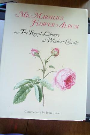 Mr. Marshal's Flower Album from the Royal Library at Windsor Castle by Alexander Marshal
