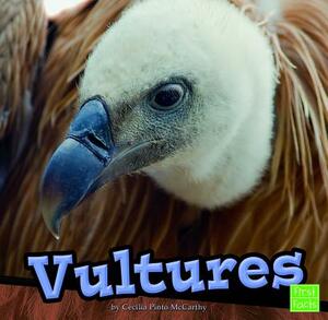 Vultures by Cecilia Pinto McCarthy