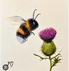 bookbee5's profile picture