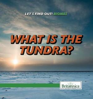 What Is the Tundra? by Julia J. Quinlan