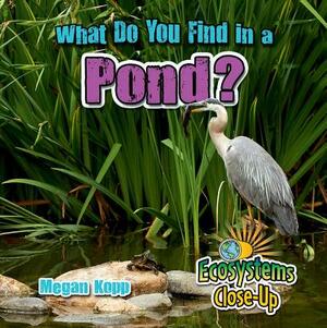 What Do You Find in a Pond? by Megan Kopp