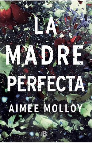 La madre perfecta by Aimee Molloy
