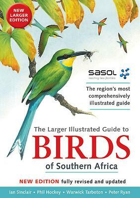 The Larger Illustrated Guide to Birds of Southern Africa: The Region's Most Comprehensively Illustrated Guide by Peter Ryan, Phil Hockey, Ian Sinclair