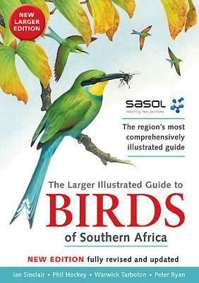 The Larger Illustrated Guide to Birds of Southern Africa: The Region's Most Comprehensively Illustrated Guide by Ian Sinclair, Peter Ryan, Phil Hockey