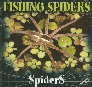 Fishing Spiders by Jason Cooper