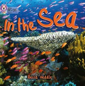 In the Sea by Becca Heddle, Rebecca Heddle