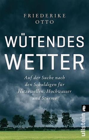 Wütendes Wetter: auf der Suche nach den Schuldigen für Hitzewellen, Hochwasser und Stürme by Friederike Otto