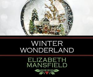 A Christmas Kiss by Elizabeth Mansfield