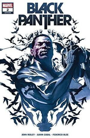 Black Panther #2 by John Ridley, Alex Ross