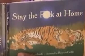 Stay the F At Home by Adam Mansbach