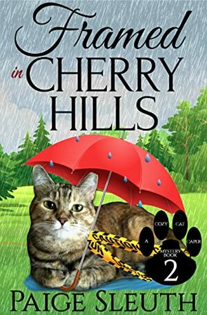 Framed in Cherry Hills by Paige Sleuth