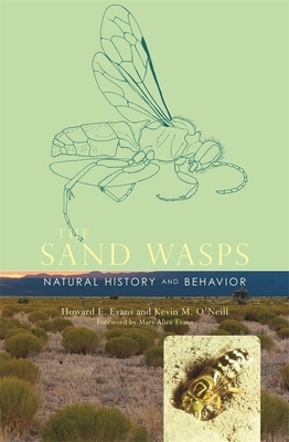 The Sand Wasps: Natural History and Behavior by Kevin M. O'Neill, Howard E. Evans