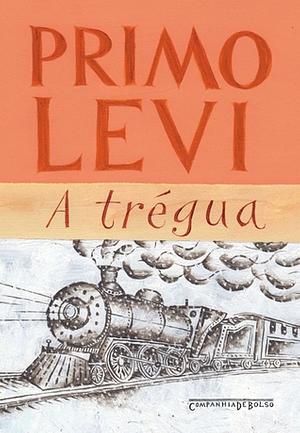 A trégua by Stuart J. Woolf, Primo Levi