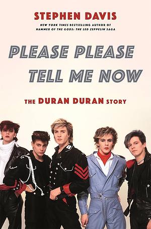 Please Please Tell Me Now: The Duran Duran Story by Stephen Davis