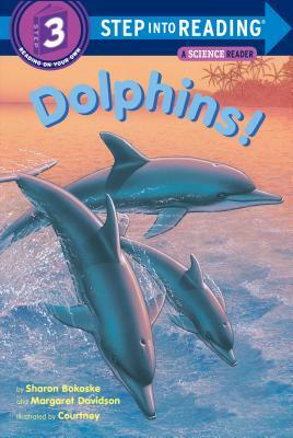 Dolphins! by Sharon Bokoske