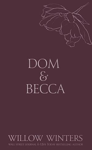 Dom & Becca: The Discreet Series (Dirty Dom) by Willow Winters