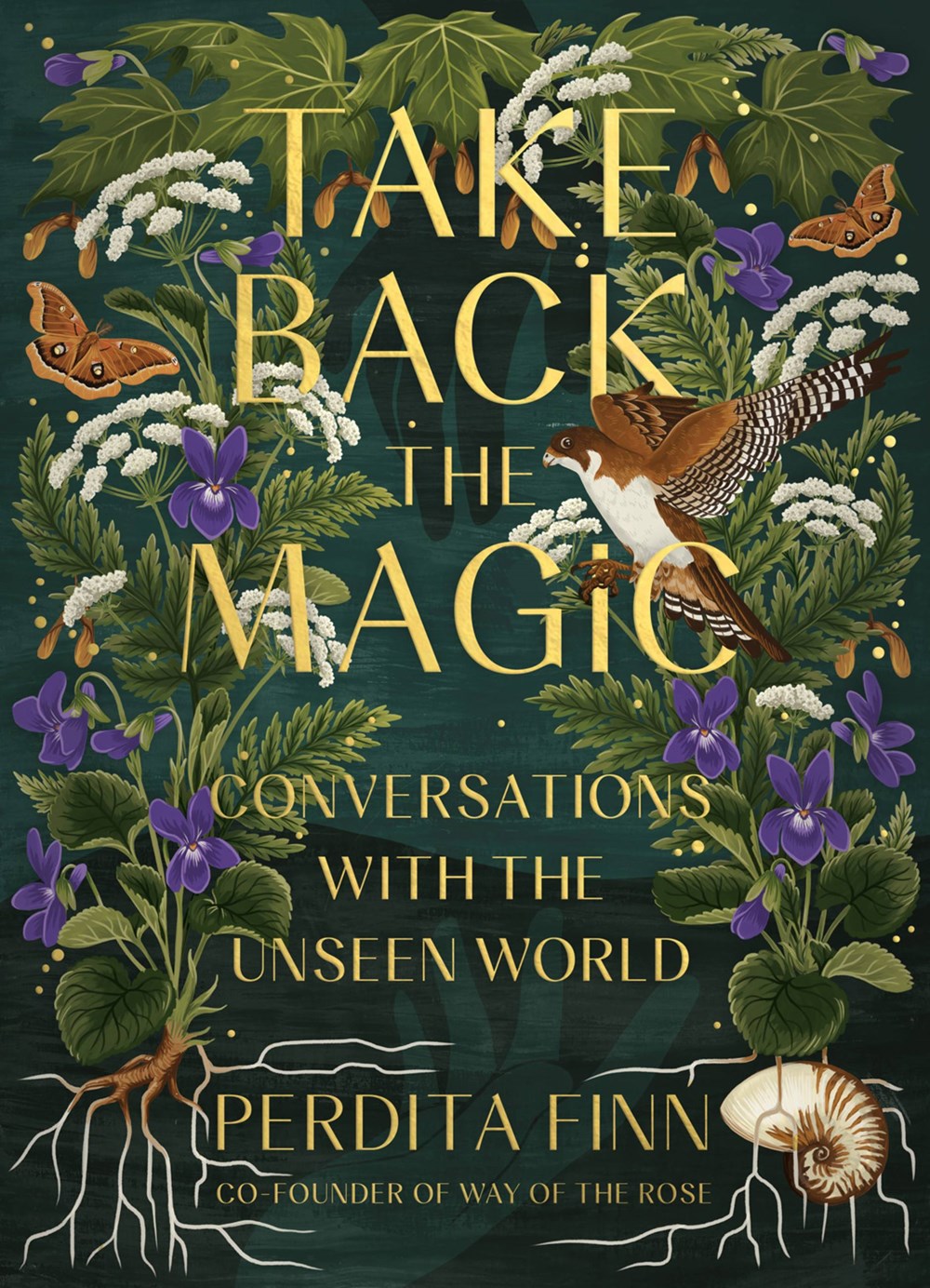 Take Back the Magic: Conversations with the Unseen World by Perdita ...
