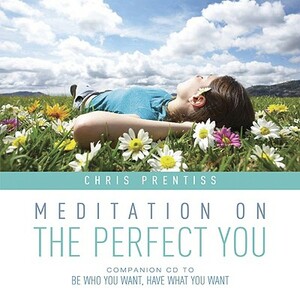 Meditation on the Perfect You by Chris Prentiss