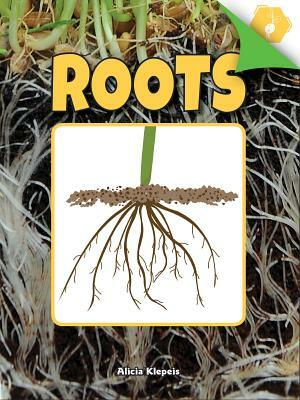 Roots by Alicia Klepeis