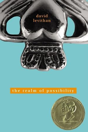 The Realm of Possibility by David Levithan